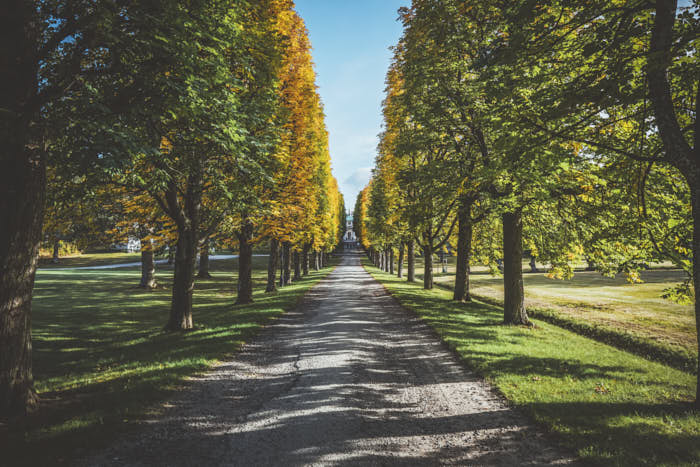 Herbstlandschaft Schloss Drottningholm